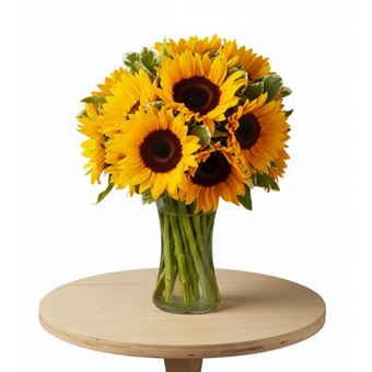 The Helianthus Glow