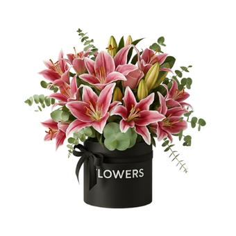 The Lily Grace Arrangement