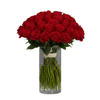 The Roses Bouquet in vase