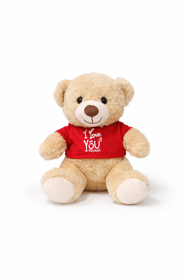 red sweet teddy