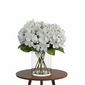 The Hydrangea in Vase