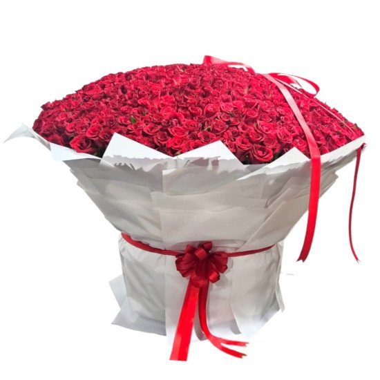 Ruby Heart 501 Roses Basket